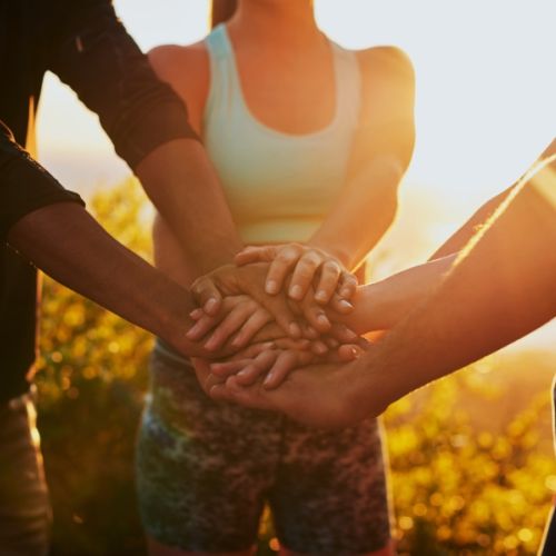 Collaborazione Pezzoni Fabio home page